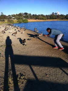 Napolean Dargon Martinez Marina, June 2014 The Flocking Project